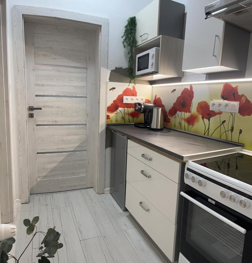 Apartmany V Centre - Vlastna Izba So Spolocnou Kuchynou A Kupelnou Moze Byt Zdielana 2 Inymi Izbami Martin Eksteriør billede