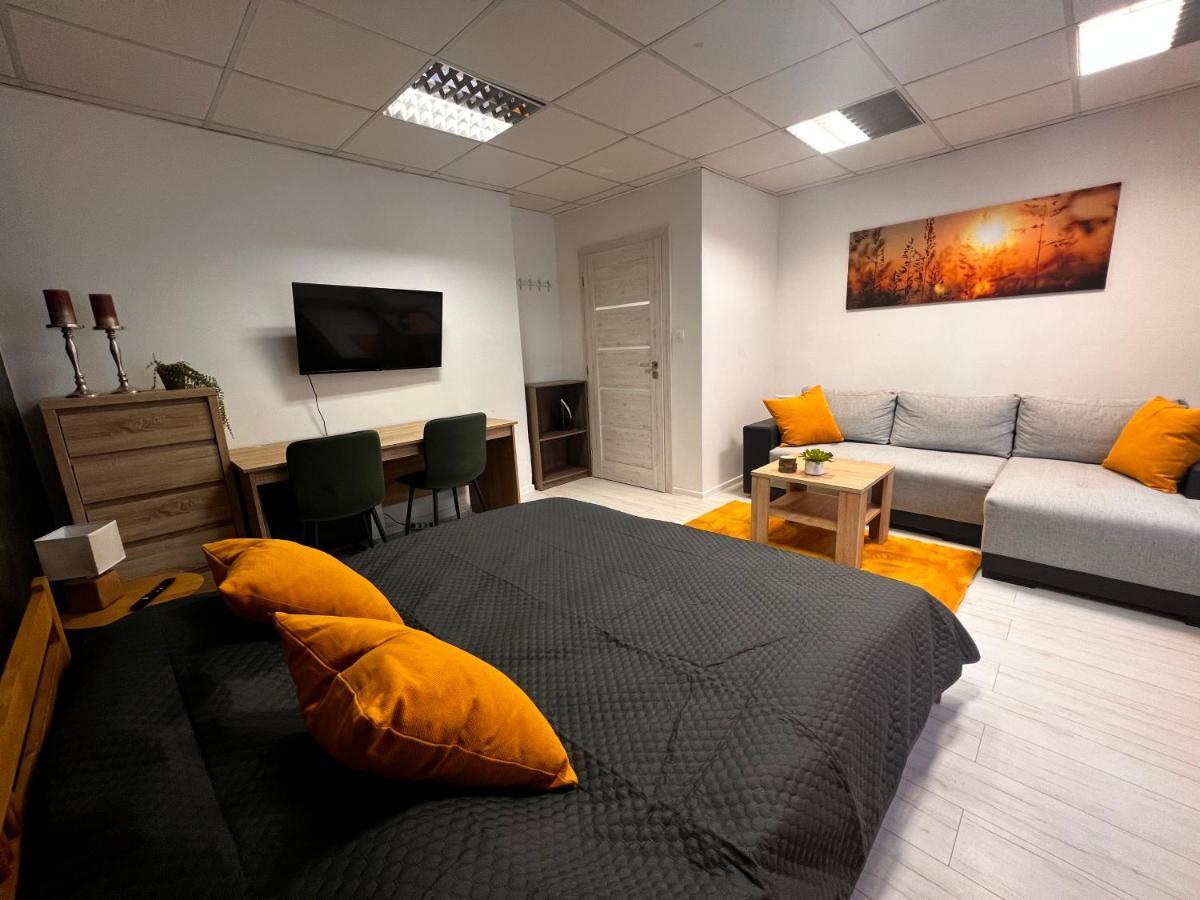 Apartmany V Centre - Vlastna Izba So Spolocnou Kuchynou A Kupelnou Moze Byt Zdielana 2 Inymi Izbami Martin Eksteriør billede