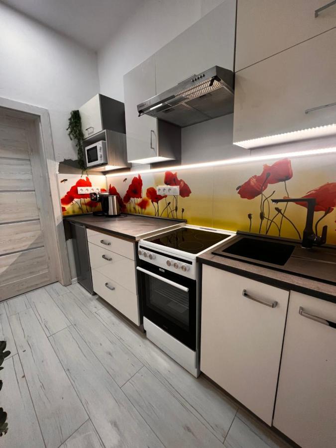 Apartmany V Centre - Vlastna Izba So Spolocnou Kuchynou A Kupelnou Moze Byt Zdielana 2 Inymi Izbami Martin Eksteriør billede